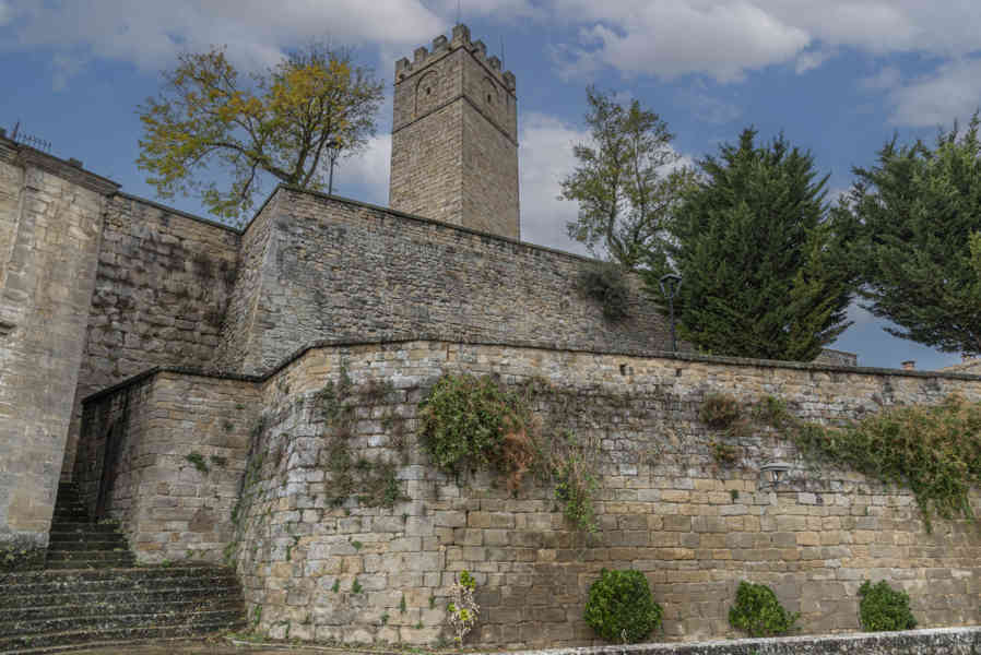 Zaragoza - Sos del Rey Católico 31 - castillo.jpg